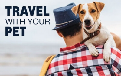 Traveling with your Four-Legged Friend