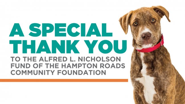 Hampton Roads Community Foundation provides substantial funding for VBSPCA Dog Yard Expansion Project