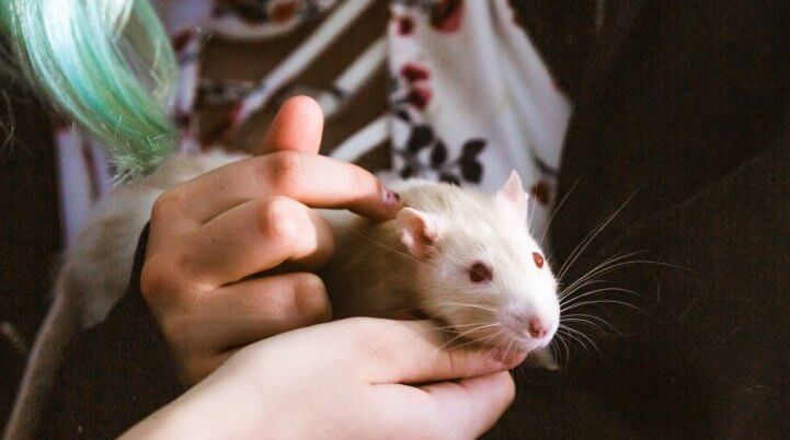 Happy Tails — Squirt