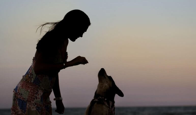 Happy Tails — Salty
