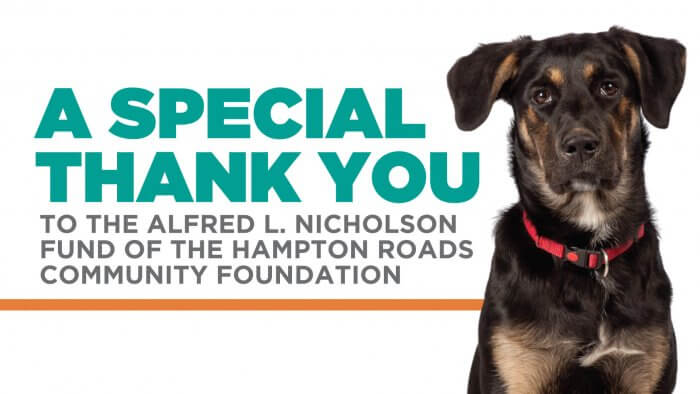 The Virginia Beach SPCA Receives $115K In Grant Funding from the Hampton Roads Community Foundation