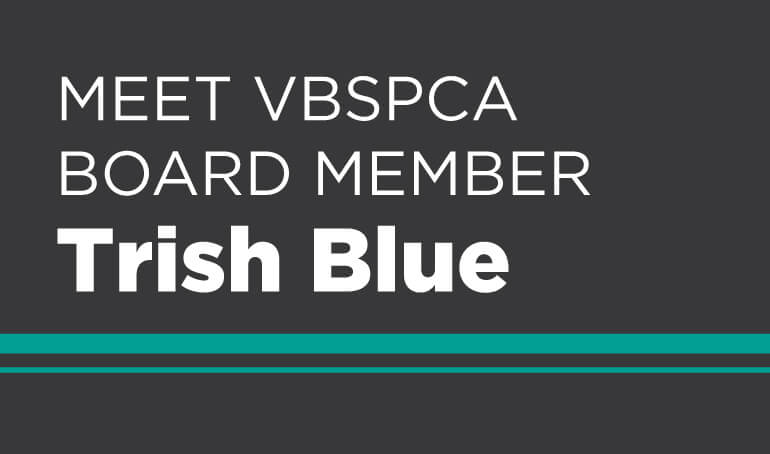 Trish Blue | In Service to the VBSPCA for 15+ Years