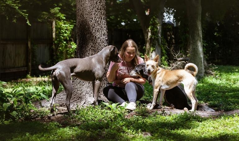 Happy Tails | Stevie