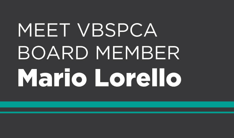 Meet VBSPCA Board Member Mario Lorello
