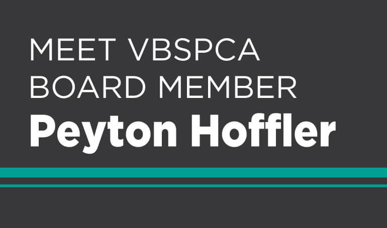 Meet VBSPCA Board Member Peyton Hoffler