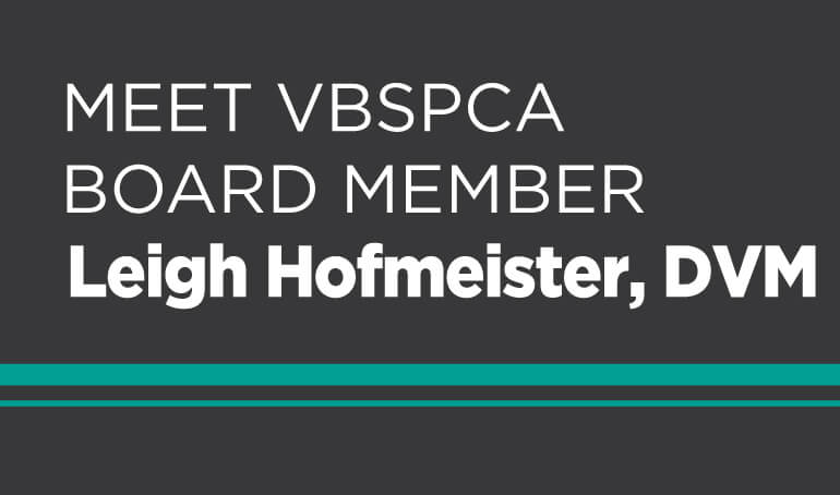Meet VBSPCA Board Member Dr. Leigh Hofmeister