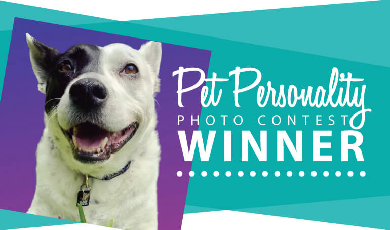 Pet Personality Photo Contest Nets Nearly $5,000 for VBSPCA Animals